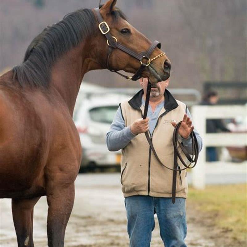 where-is-the-big-horse-race-diy-seattle