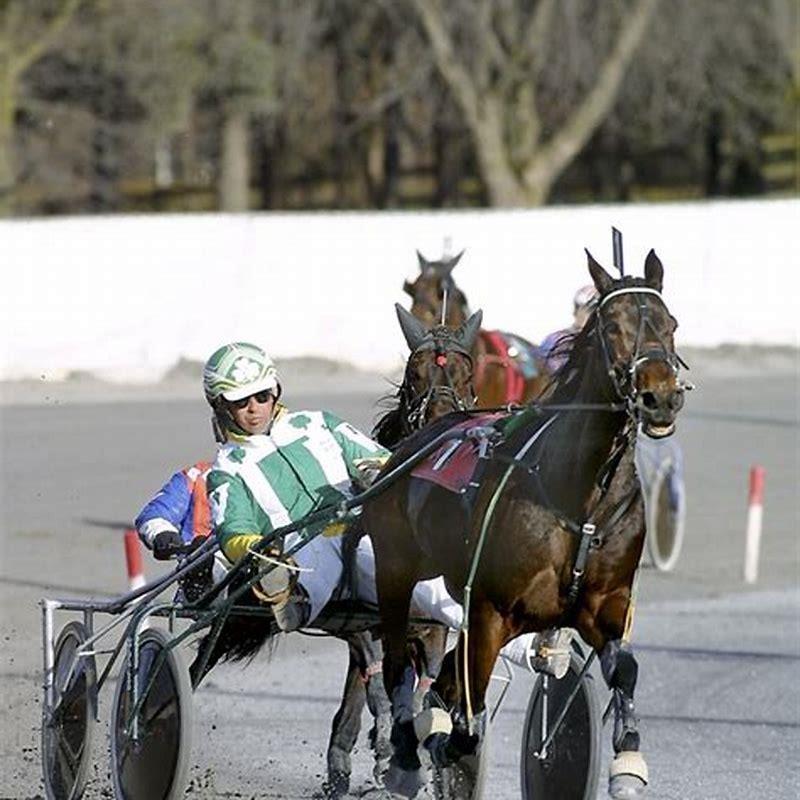 Where is the Saratoga horse race held?