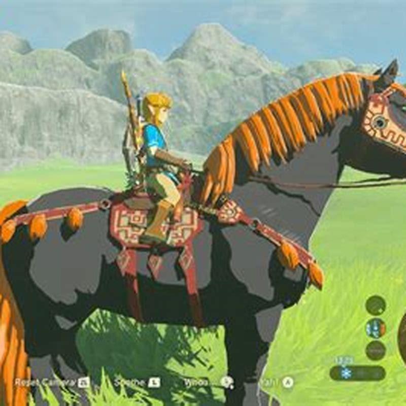 Where is Zeldas white horse?