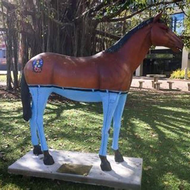 Where would a horse wear pants?