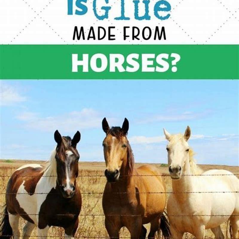 Which part of the horse is used for glue?