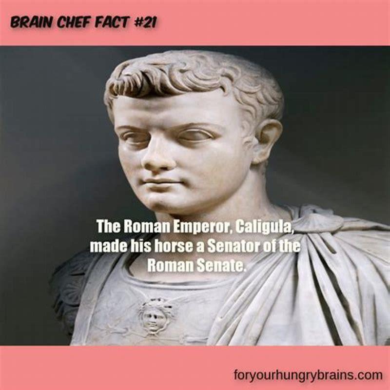 which-roman-emperor-made-his-horse-a-senator-diy-seattle