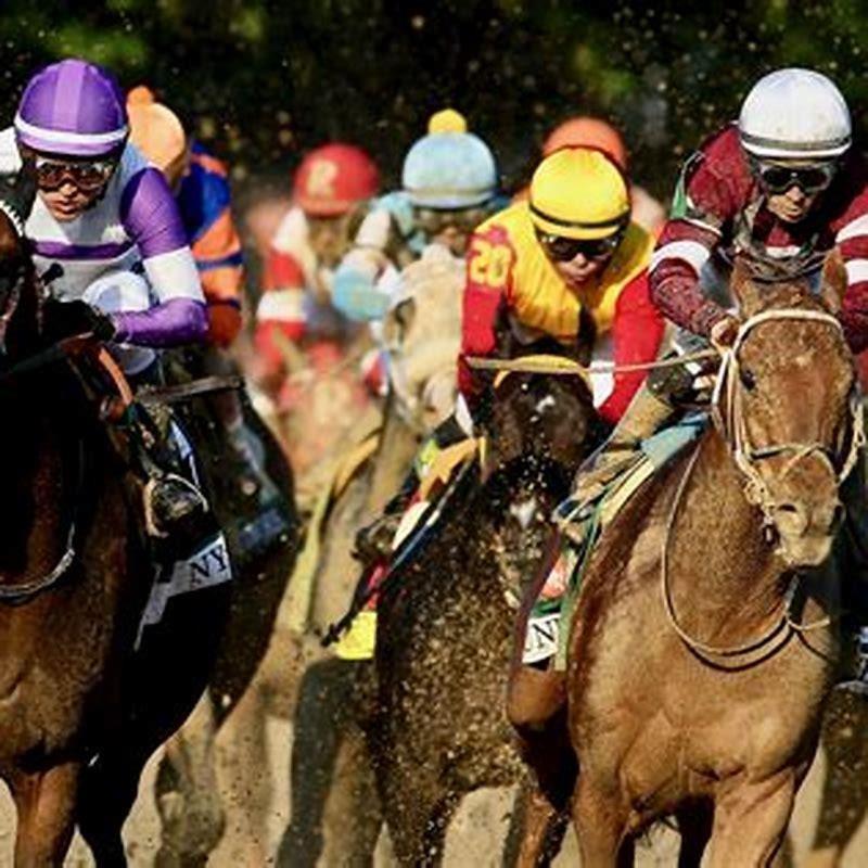 Who are the favorites in the Kentucky Derby? DIY Seattle