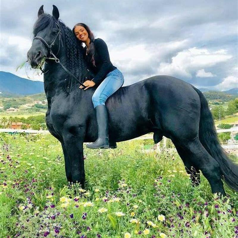 Who is worlds most famous horse?