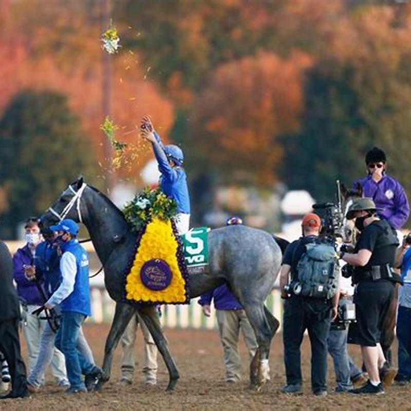 Who owns the horse Essential Quality?