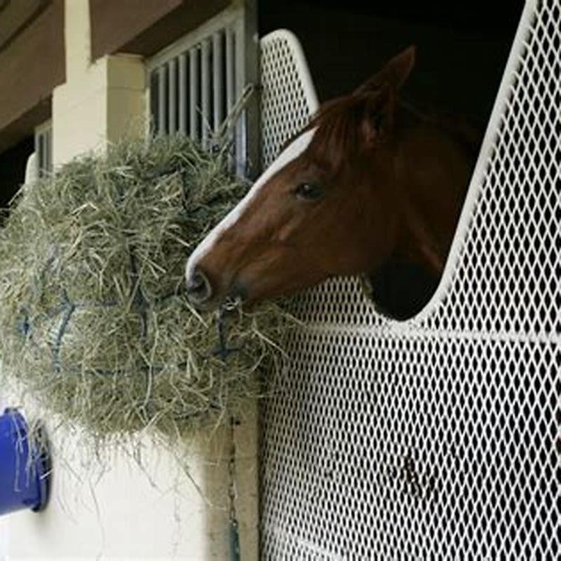 Who owns the Iron Horse?
