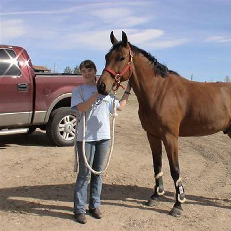 Who was the best horse ever?
