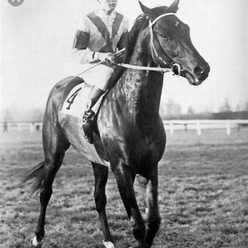 who-was-the-first-racehorse-diy-seattle