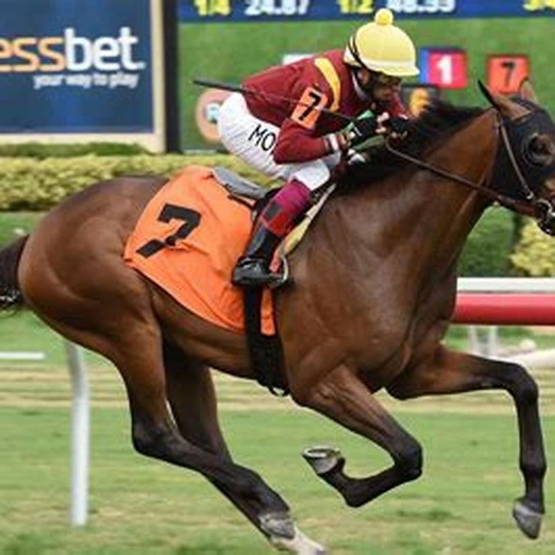 Who were the winners of the Preakness?