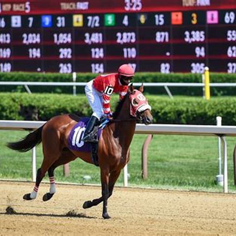 Who Won The Big Race At Saratoga Today? - DIY Seattle