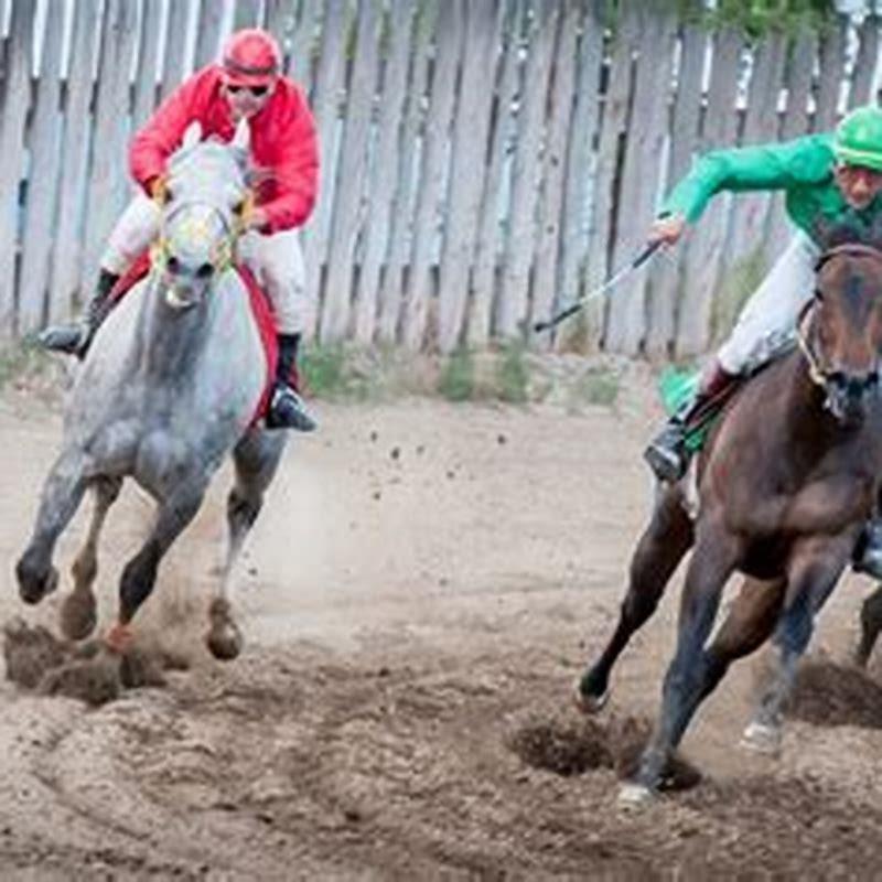 Who won the horse race last Saturday?