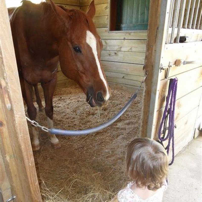 Why do horses need a hot walk?