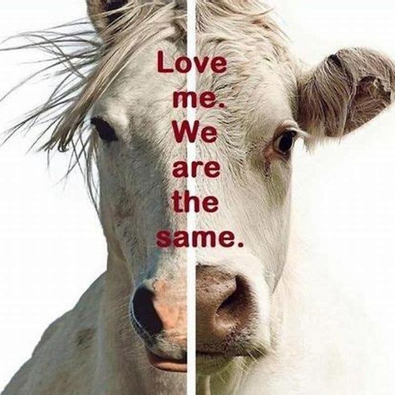 why-do-we-eat-cows-but-not-horses-diy-seattle