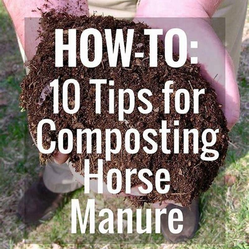 why-is-horse-manure-not-a-good-fertilizer-diy-seattle