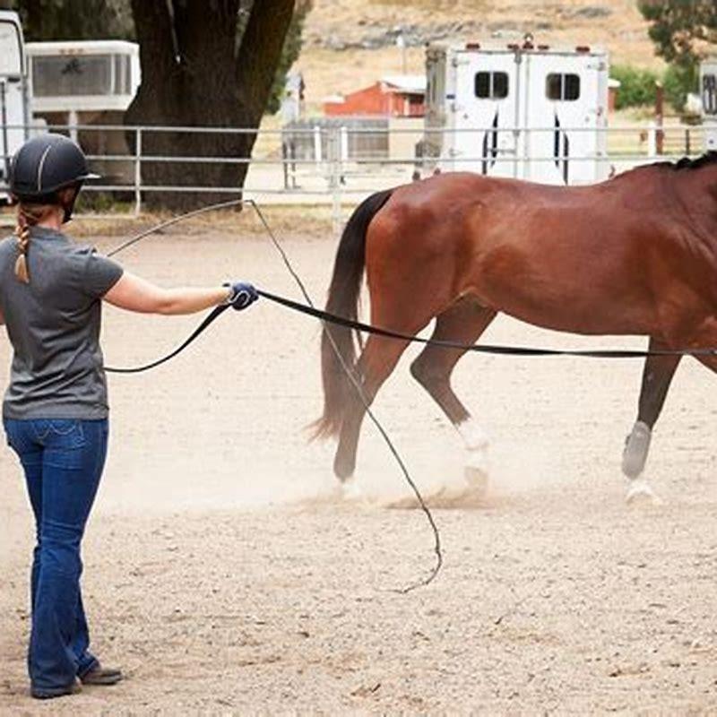 Why Is It Called Vaulting Horse DIY Seattle