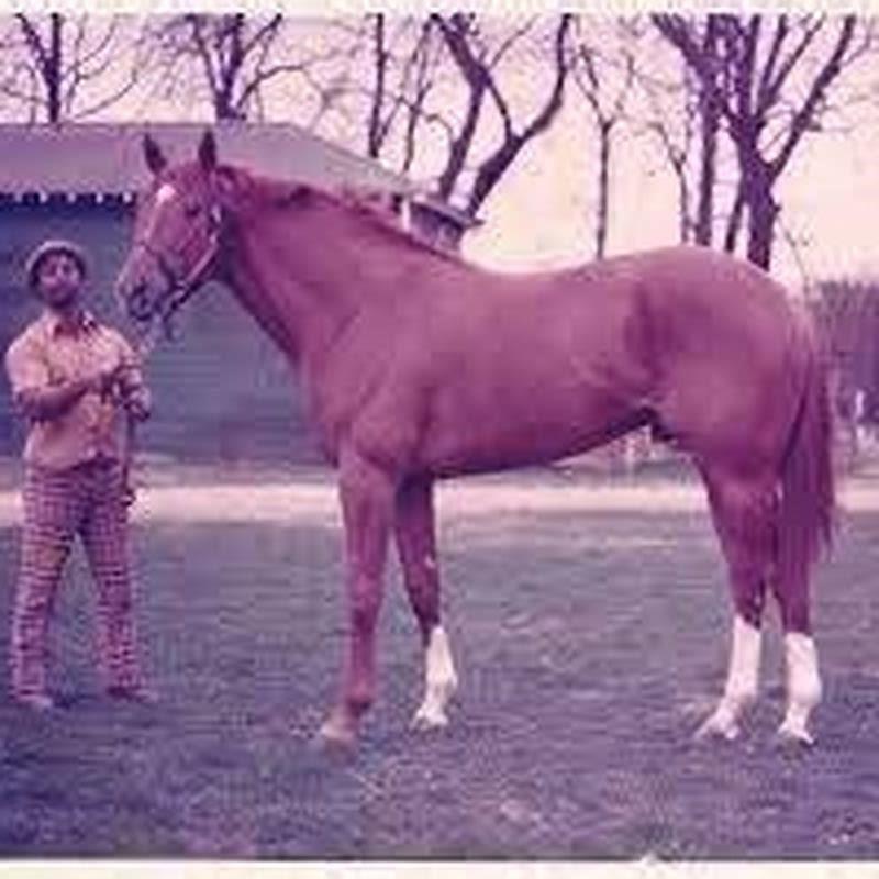 Why was Secretariat so fast?