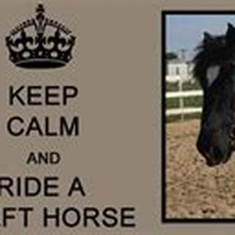 Why would you tranquilize a horse?