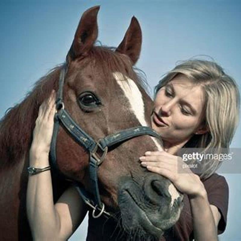 Are there really horse whisperers?