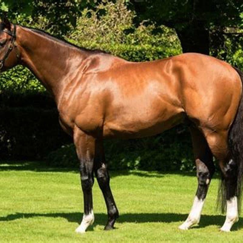 Can two bays produce a chestnut?