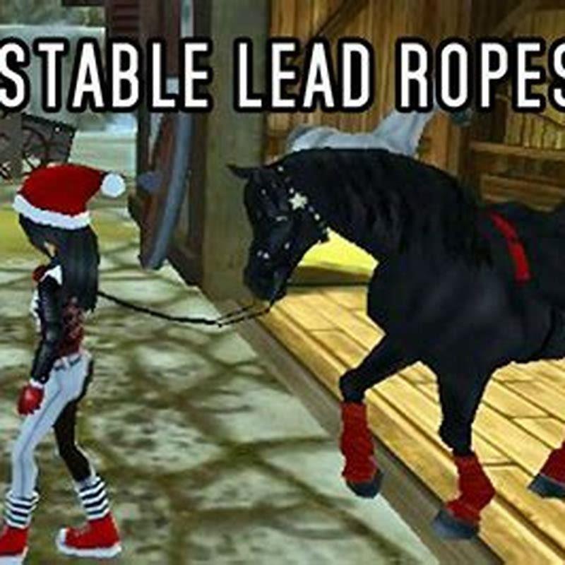 Can you get a lead rope in Star Stable?