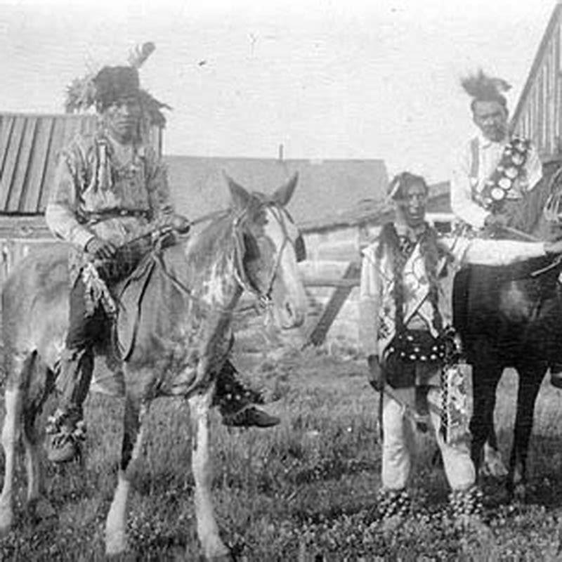 did-the-ojibwe-have-horses-diy-seattle