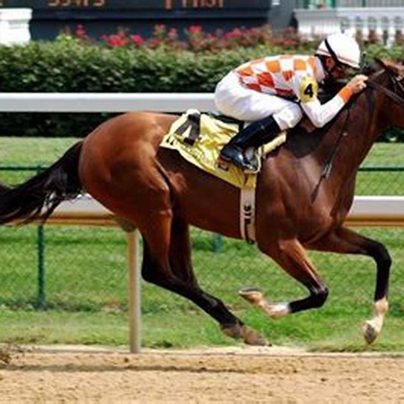Has any horse won the Triple Crown?