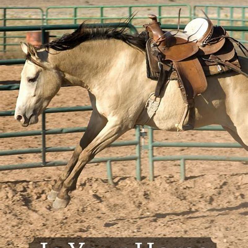 How can I exercise my horse without riding?