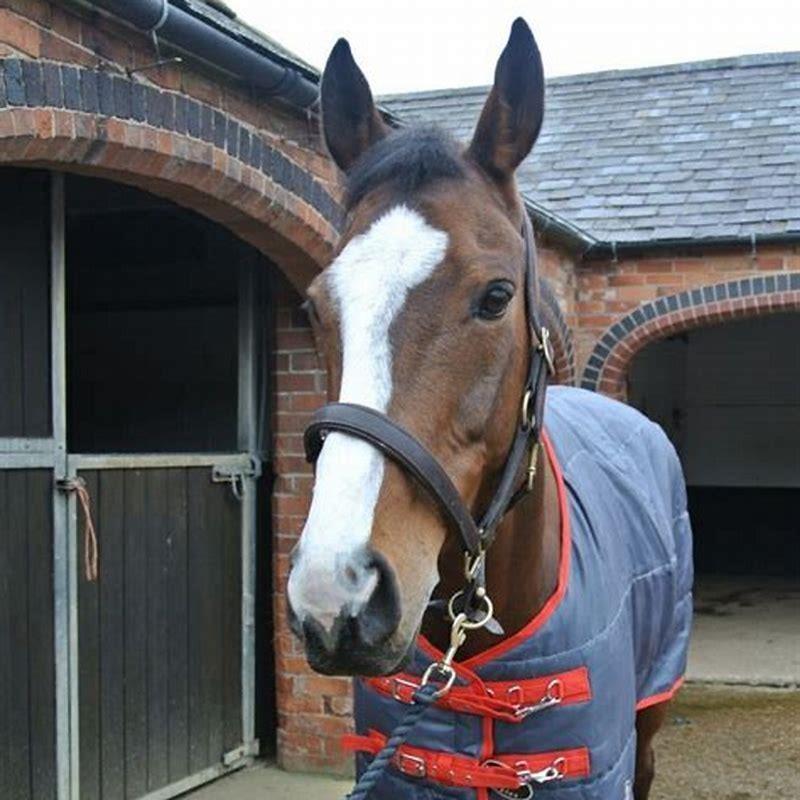 How can I help my horse shed?