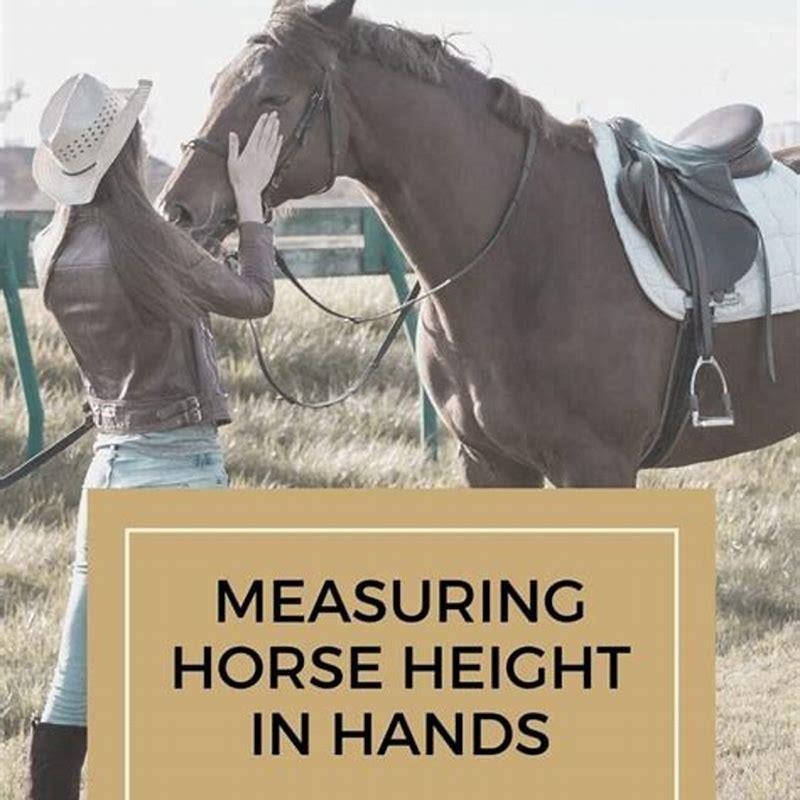 How do horses get measured?