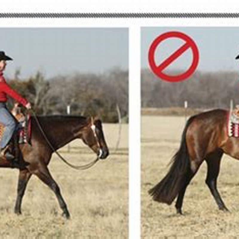 How do I get my horse to jog?