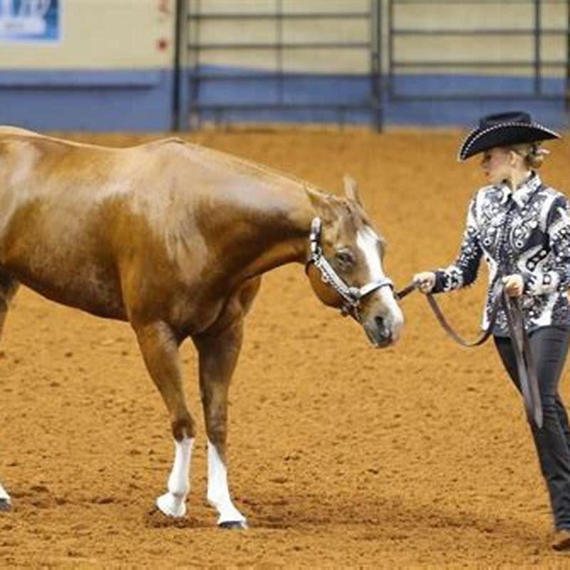 How do I know if my horse has brasses?