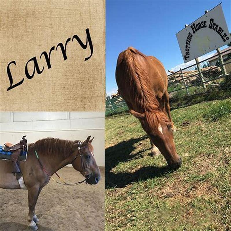 How do you become a horse in horse riding?