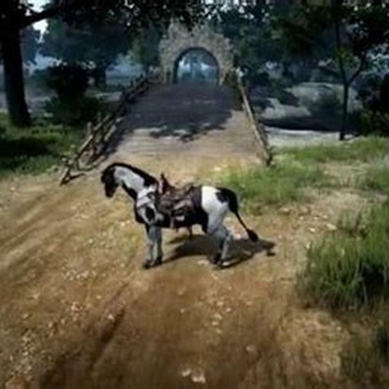 How do you change skills in Black Desert online?
