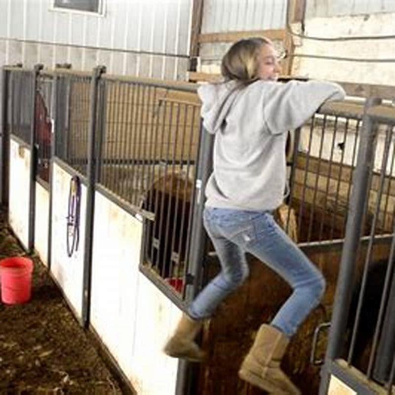 How do you clean horse stall walls? - DIY Seattle