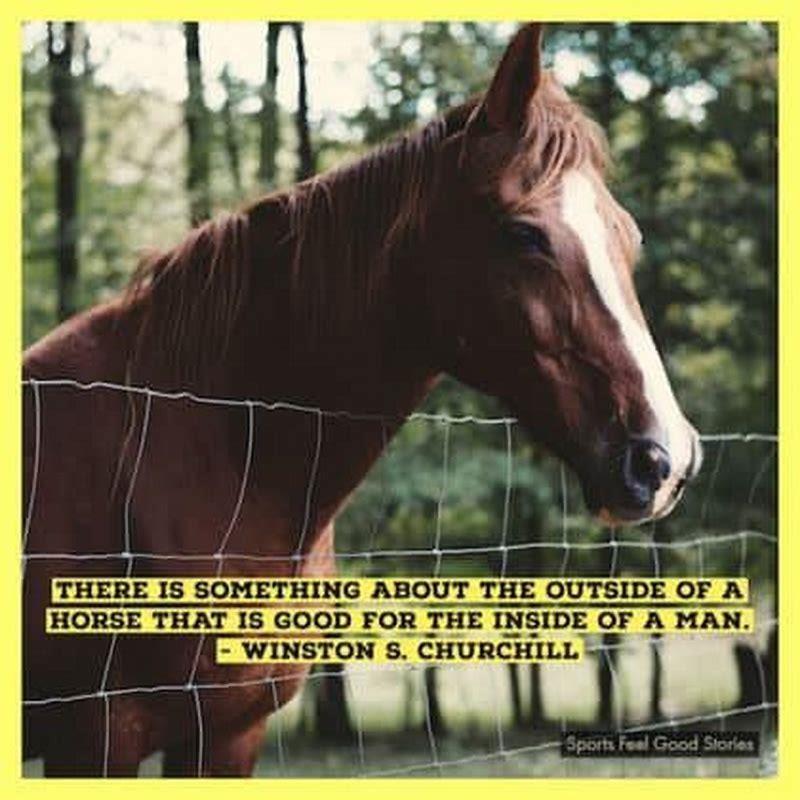 How do you discipline a horse that bites?