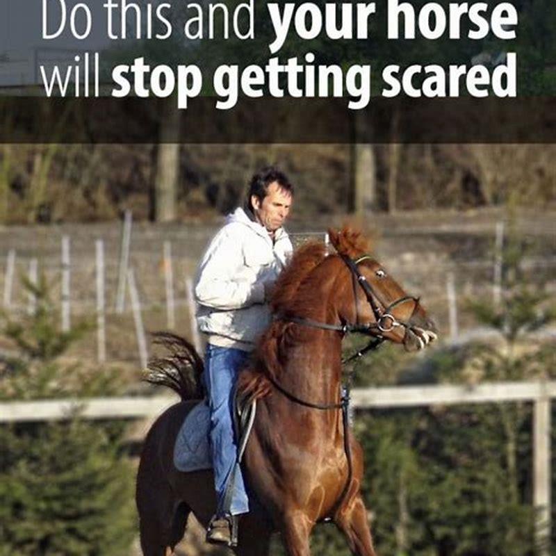 How do you get a spooky horse to trust you?