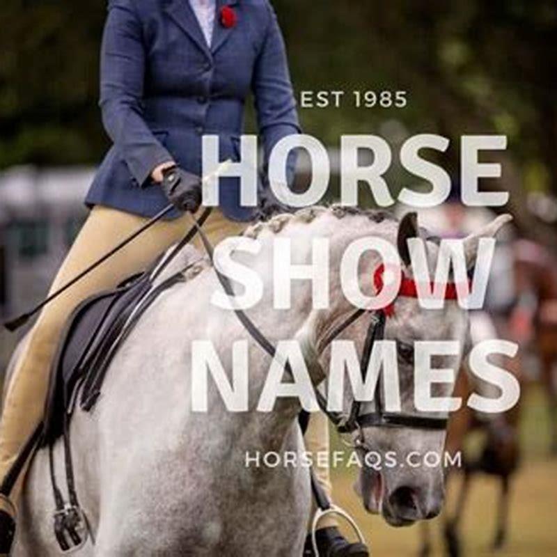 How do you get a wild horse to come to you?