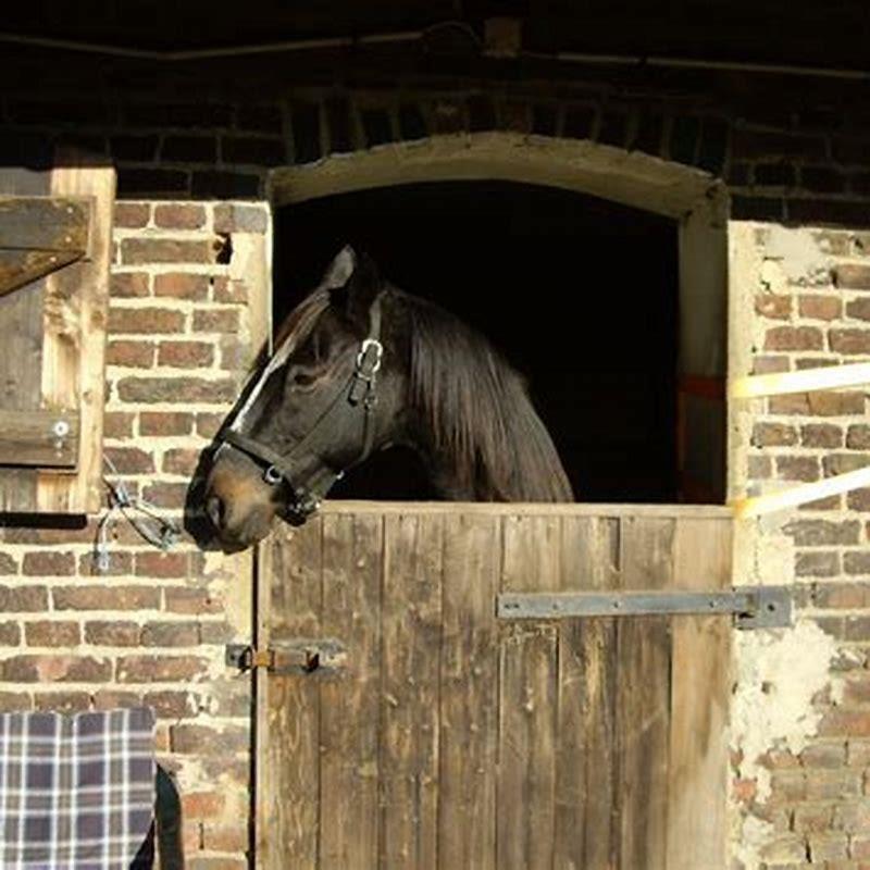 How do you get the smell out of a horse stall mat?
