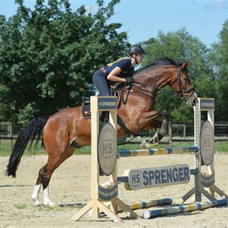 How do you jump a horse?