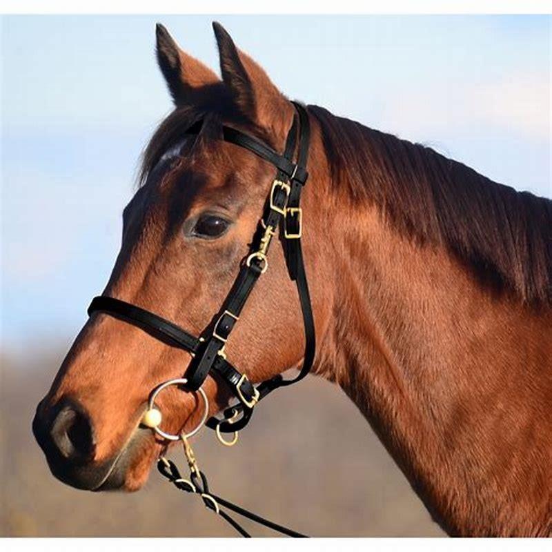 How do you make a horse halter?