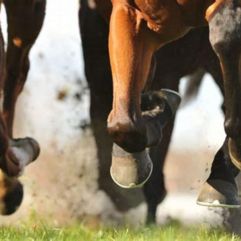 How do you pick barefoot horses hooves?