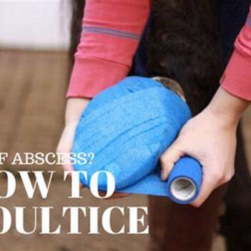 How do you poultice a hoof abscess?