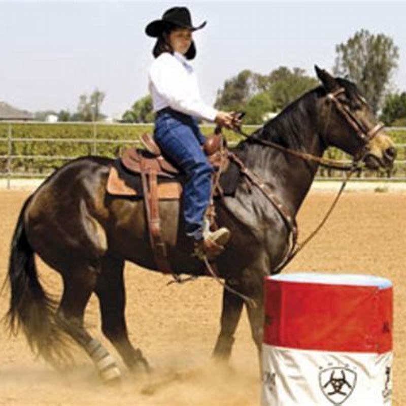 how-do-you-practice-barrel-racing-diy-seattle