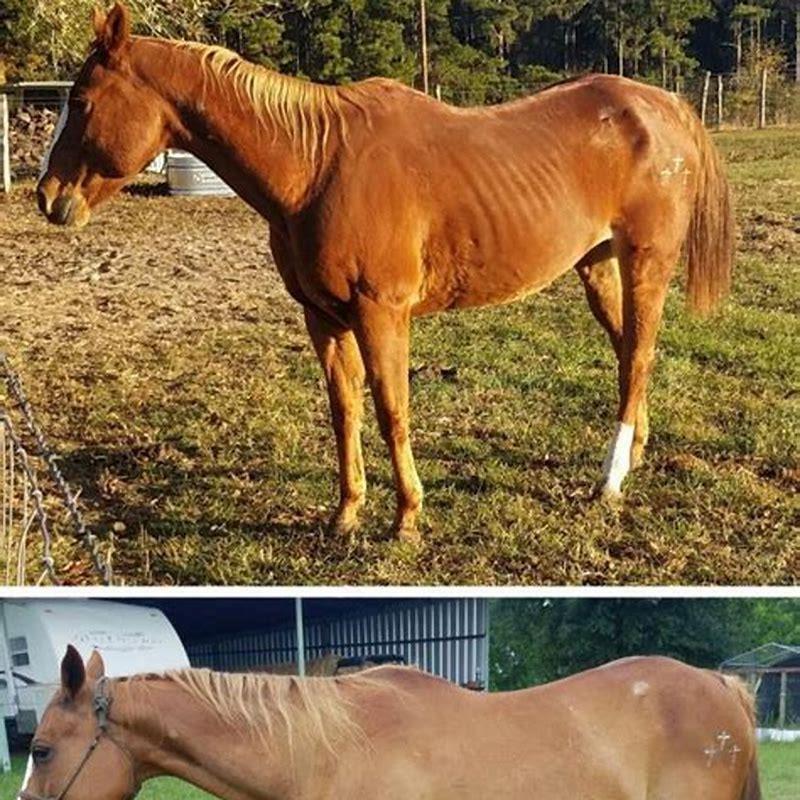 How do you pronounce un caballo?