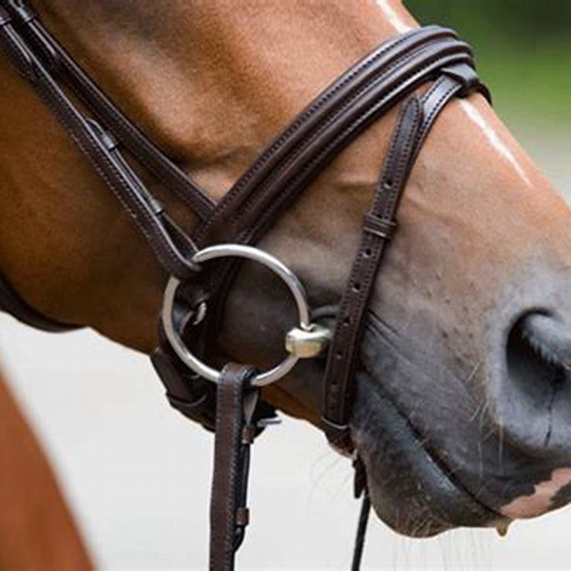 How do you put tack on a horse?