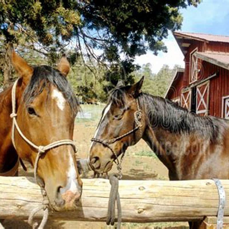 How do you secure a hitching post?