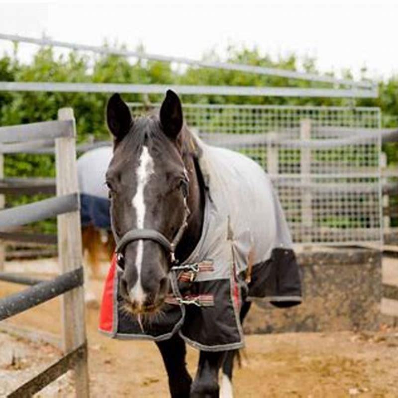 How do you set up a horse walker?