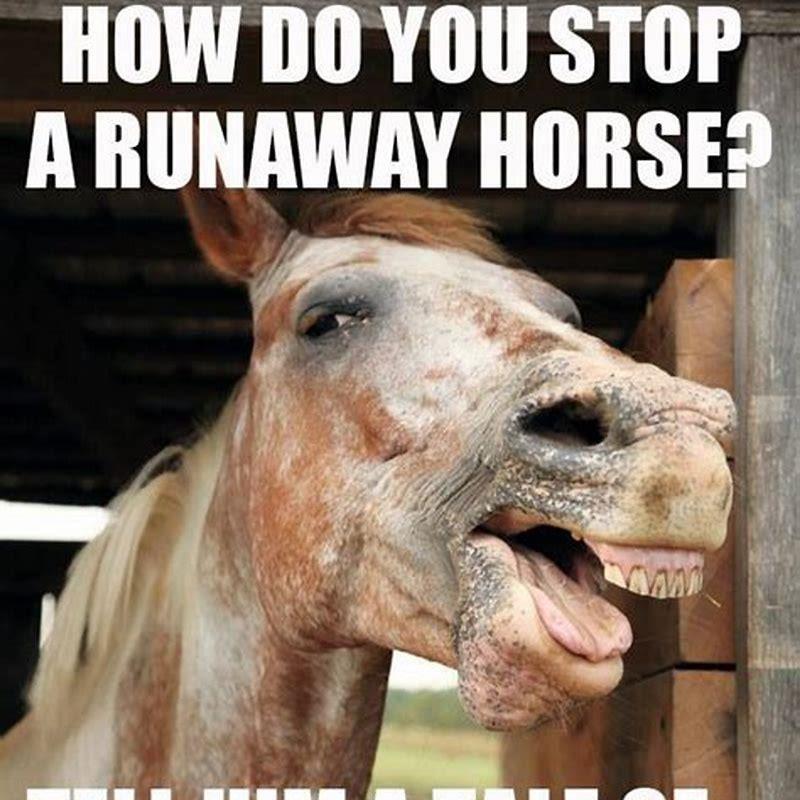 How do you stop a horse from screaming?
