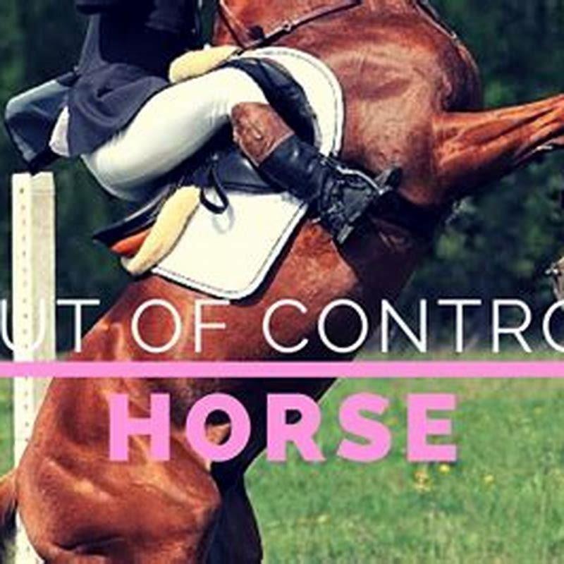 how-do-you-stop-an-out-of-control-horse-diy-seattle