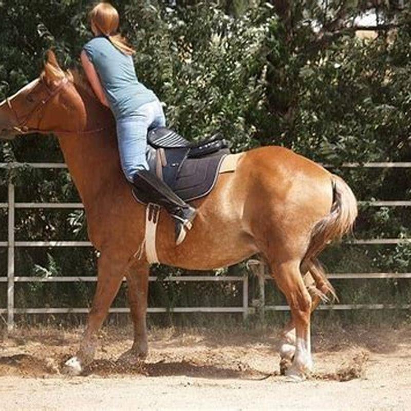 How do you tell a horse to stop?